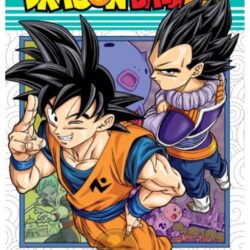 Dragon Ball Super 12
