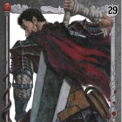 Berserk 29