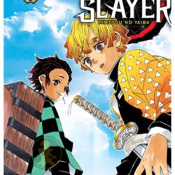 Demon Slayer - Kimetsu No Yaiba 03