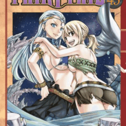 Fairy Tail 45