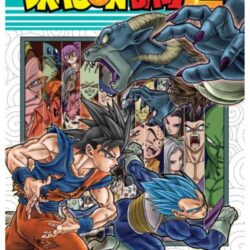 Dragon Ball Super 13