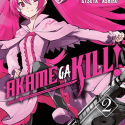 Akame ga Kill 02