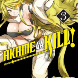 Akame ga Kill 03