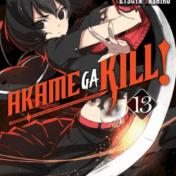 Akame ga Kill 13