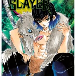 Demon Slayer - Kimetsu No Yaiba 07