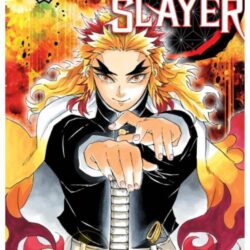 Demon Slayer - Kimetsu No Yaiba 08
