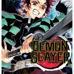 Demon Slayer - Kimetsu No Yaiba 10