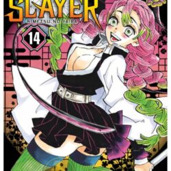 Demon Slayer - Kimetsu No Yaiba 14