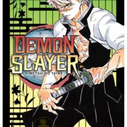 Demon Slayer - Kimetsu No Yaiba 17