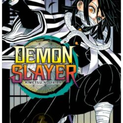 Demon Slayer - Kimetsu No Yaiba 19