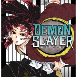 Demon Slayer - Kimetsu No Yaiba 20
