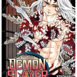 Demon Slayer - Kimetsu No Yaiba 22