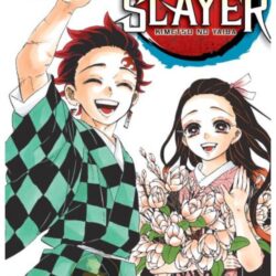 Demon Slayer - Kimetsu No Yaiba 23