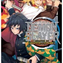 Demon Slayer - Water and Flame