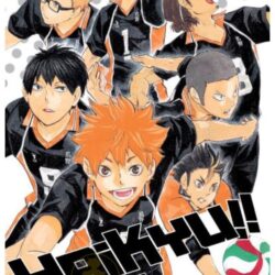 Haikyu!! 12