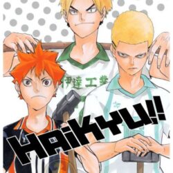 Haikyu!! 15