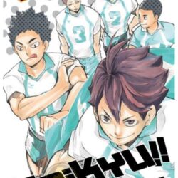 Haikyu!! 17