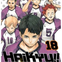 Haikyu!! 18