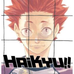 Haikyu!! 20