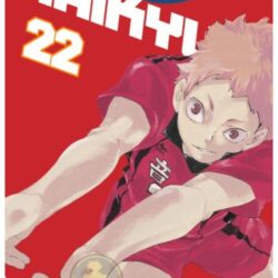 Haikyu!! 22