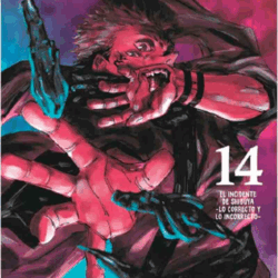 Jujutsu Kaisen 14
