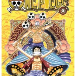 One Piece 30
