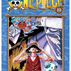 One Piece 10