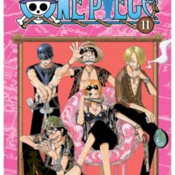 One Piece 11