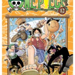 One Piece 12
