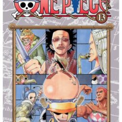 One Piece 13