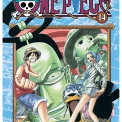One Piece 14