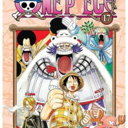 One Piece 17