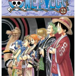 One Piece 22
