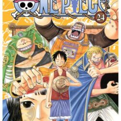 One Piece 24