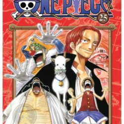 One Piece 25