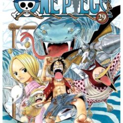 One Piece 29