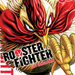 Rooster Fighter 03
