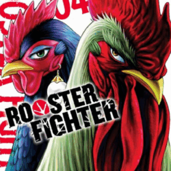 Rooster Fighter 04