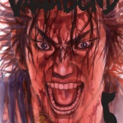Vagabond 05