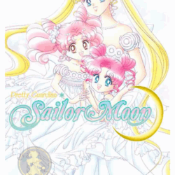 Sailor Moon 12