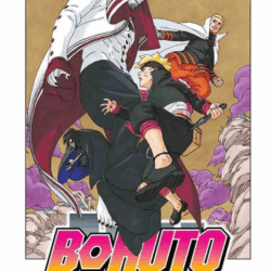 Boruto 13