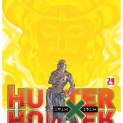 Hunter x Hunter 29