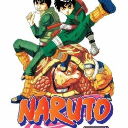 Naruto 10