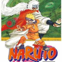 Naruto 11