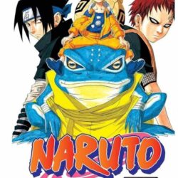 Naruto 13