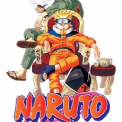 Naruto 14