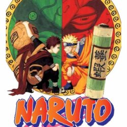 Naruto 15