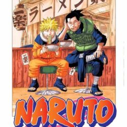 Naruto 16