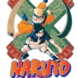 Naruto 17