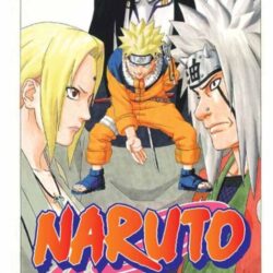 Naruto 19